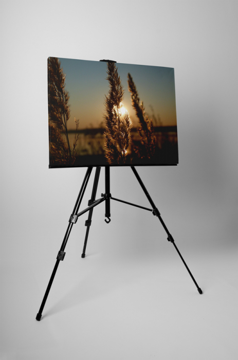 Tablou canvas : Apusul de soare pe camp [3]