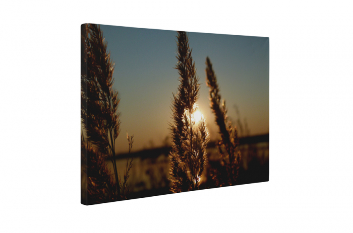 Tablou canvas : Apusul de soare pe camp [5]