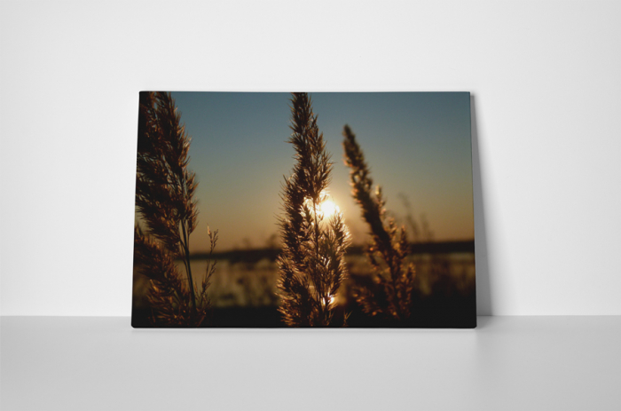 Tablou canvas : Apusul de soare pe camp [2]