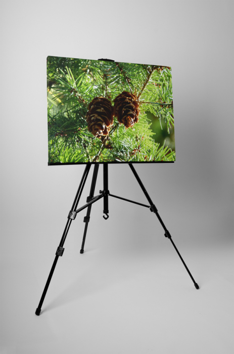 Tablou canvas : Doua conuri [3]