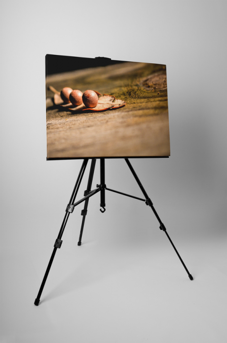 Tablou canvas : O frunza [3]