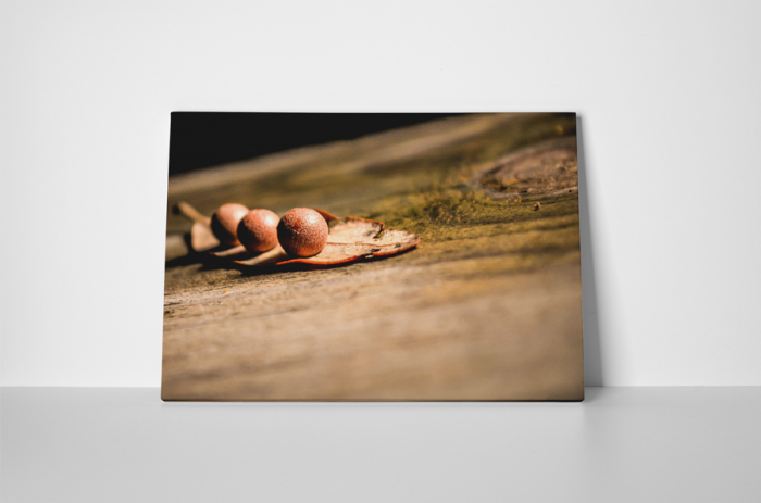 Tablou canvas : O frunza [2]