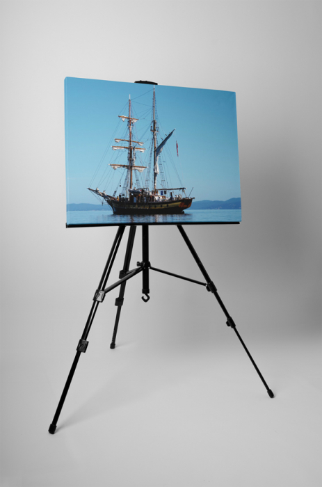 Tablou canvas : Nava [3]