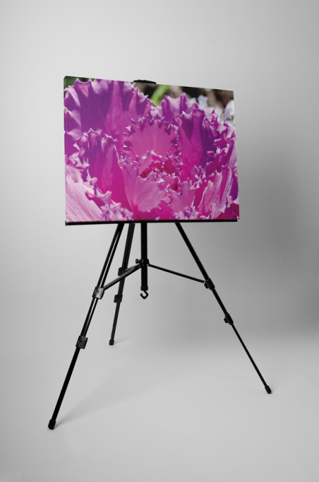 Tablou canvas : Purple flower [3]