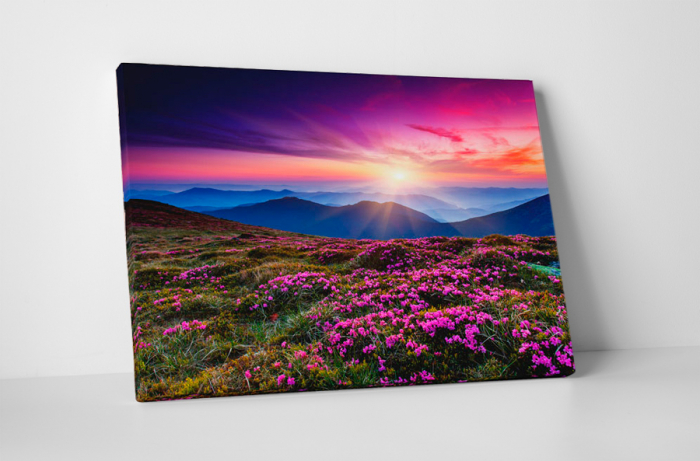 Tablou canvas : Rasarit inflorit [1]