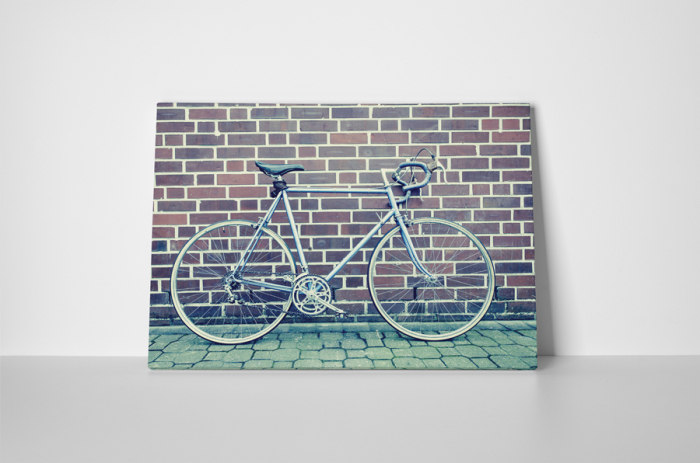 Tablou canvas : O bicicleta [2]