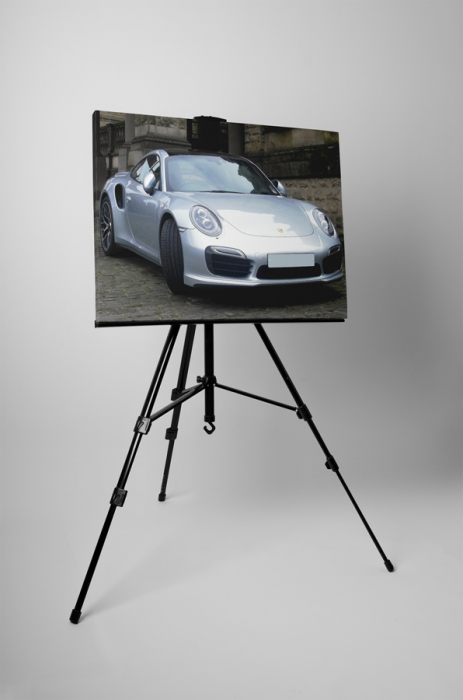 Tablou canvas : Porsche gri [3]