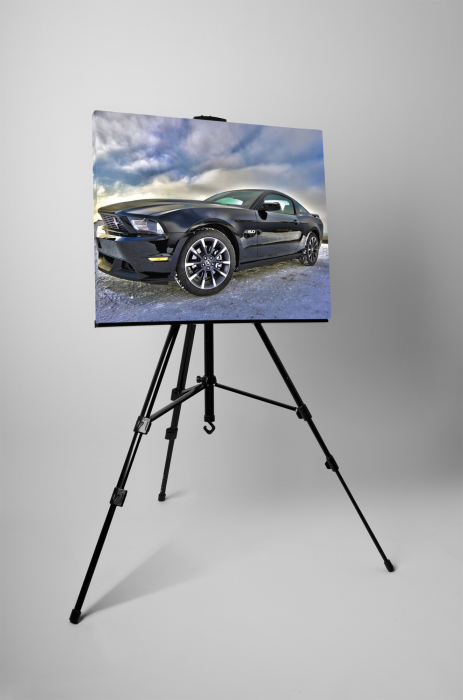 Tablou canvas : Masina sport Mustang [4]