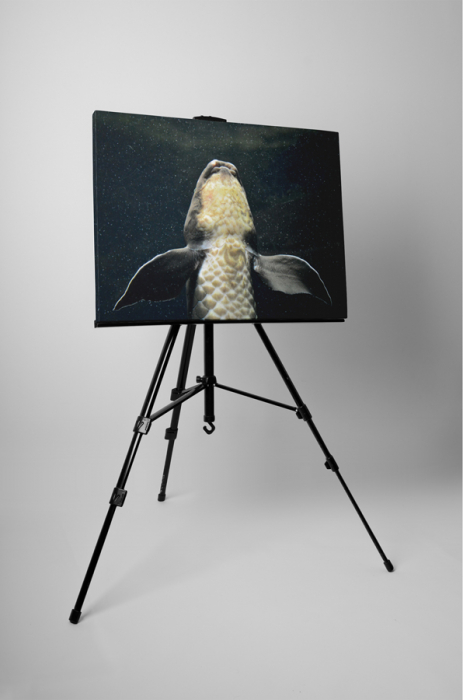 Tablou canvas : Crap [3]