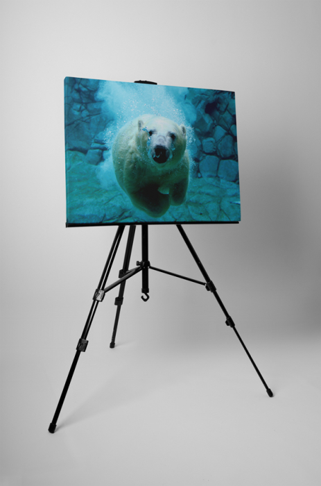 Tablou canvas : Ursul polar [3]