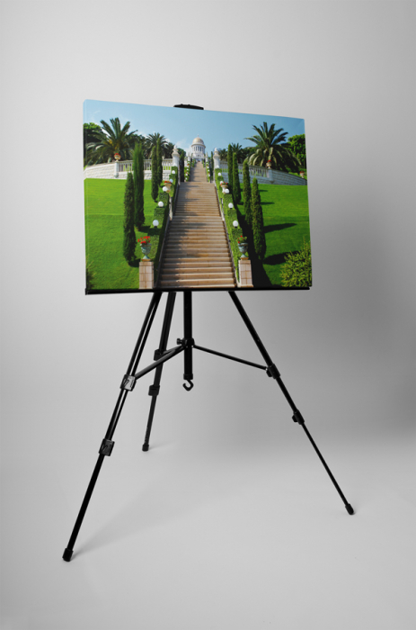 Tablou canvas : Gradina frumoasa [3]
