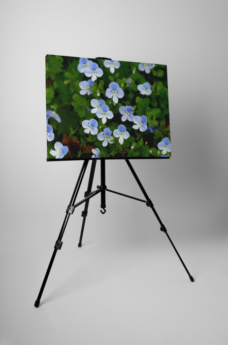 Tablou canvas : Flori marunte [3]