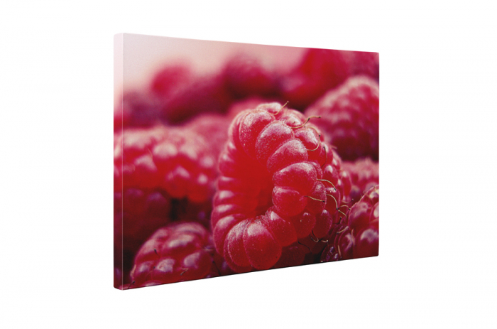Tablou canvas : Zmeura [5]