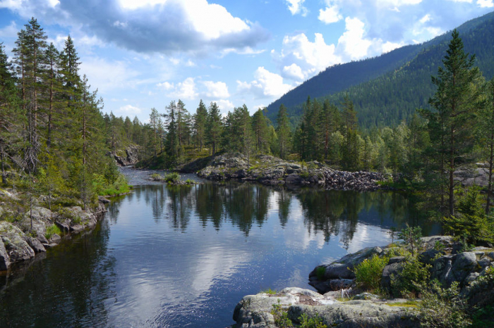 Beautiful Forest Stream [2]