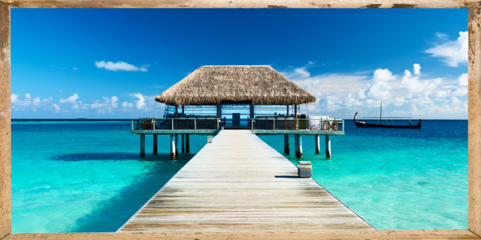 This must be Paradise [2]