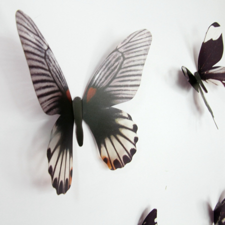 18 Fluturi 3D realisti - DARK GRAY [4]