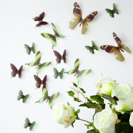 18 Fluturi 3D realisti - BROWN AND GREEN [0]