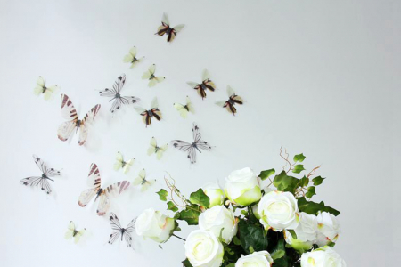 18 Fluturi 3D realisti - LIGHT YELLOW, GRAY AND BROWN [2]