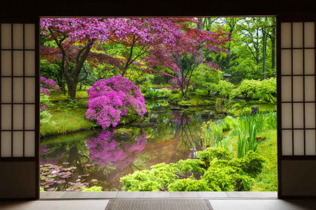 Fototapet vinyl cu efect 3D Usa Shoji - Culori in Gradina - 360x240 cm [1]