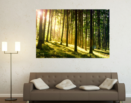 Stickere tip tablou - Sunset Forest
