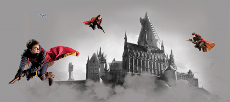 Fototapet Quidditch and Castle [2]