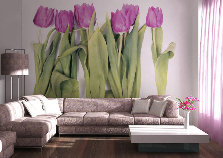 Fototapet - Fototapet Violet Tulips Big