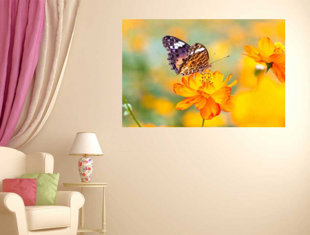 Stickere tip tablou - Summer Vibe