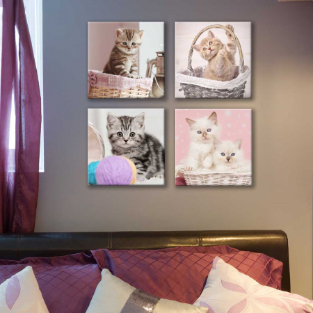 Set de 4 tablouri : Cosuri cu Pisici [3]