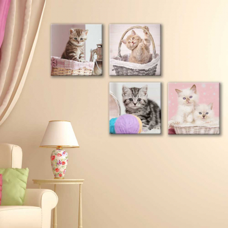 MultiCanvas - Set de 4 tablouri : Cosuri cu Pisici