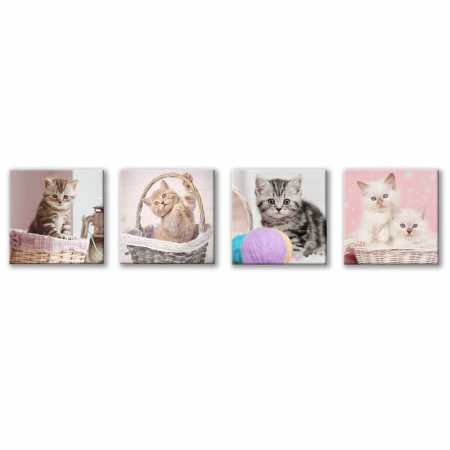 Set de 4 tablouri : Cosuri cu Pisici [4]