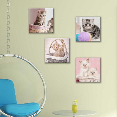 Set de 4 tablouri : Cosuri cu Pisici [1]