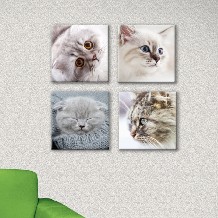 MultiCanvas - Set de 4 tablouri : Pisicute