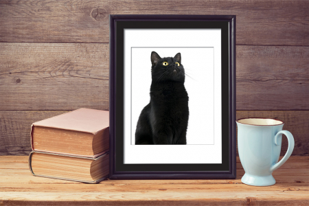 Stickere Walplus ™ - Sticker 2In1 Cute Black Cat Frame Sticker