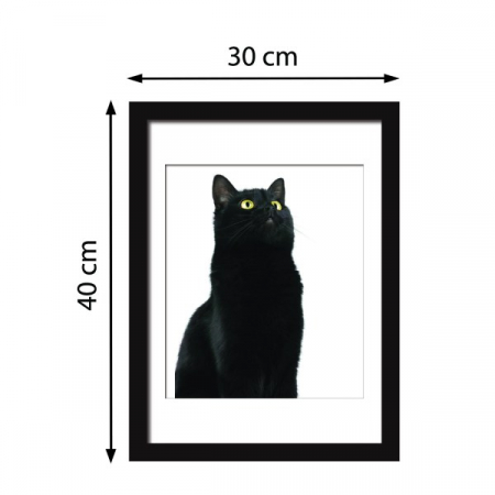 Sticker 2In1 Cute Black Cat Frame Sticker [2]