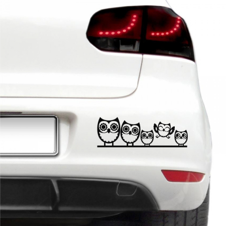 Animale - Sticker auto - Bufnite fericite