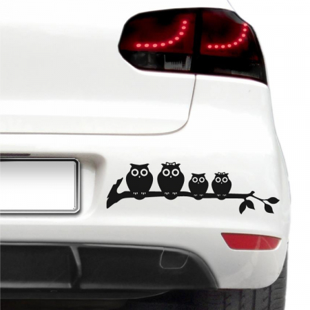 Animale - Sticker auto - Familie de bufnite