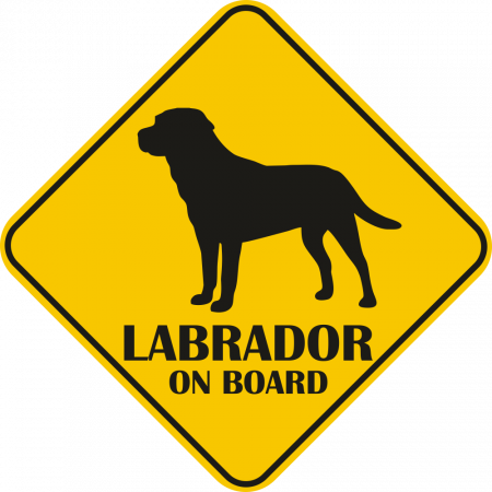 Sticker auto - Labrador [1]