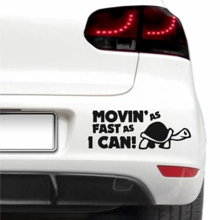 Animale - Sticker auto - Movin'