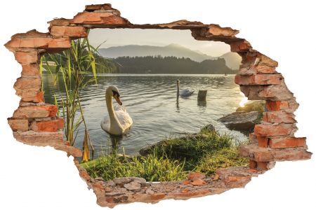 Privire prin perete - Sticker cu efect 3D - Lebedele