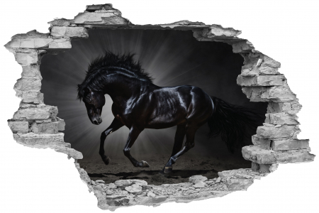 Sticker cu efect 3D - Black Horse [0]