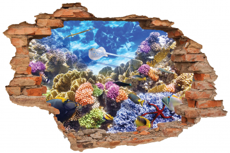 Privire prin perete - Sticker cu efect 3D - Viata subacvatica