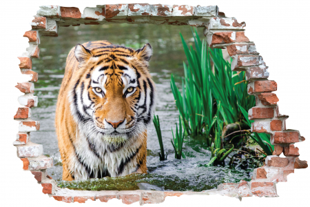 Sticker cu efect 3D - Tigru [0]