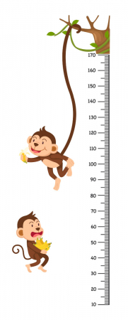 Sticker decorativ - Masuratoare cu maimute [1]