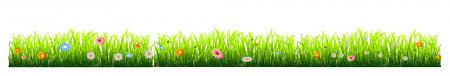 Sticker Decorativ - Iarba si Flori [1]