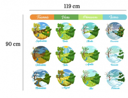Sticker - Invata Anotimpurile [2]