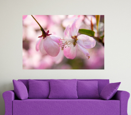 Stickere tip tablou - Begonia Pink Flower