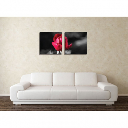 MultiCanvas - Tablou canvas 2 piese - Boboc