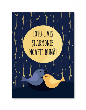 Tablou canvas 25x35cm - Noapte buna [1]