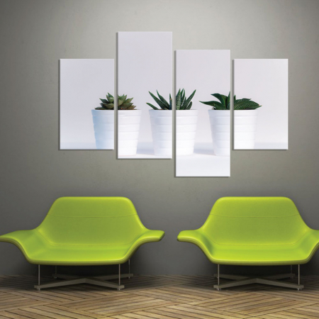 MultiCanvas - Tablou canvas 4 piese - Plante in ghiveci