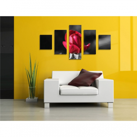MultiCanvas - Tablou canvas 5 piese - Trandafir rosu